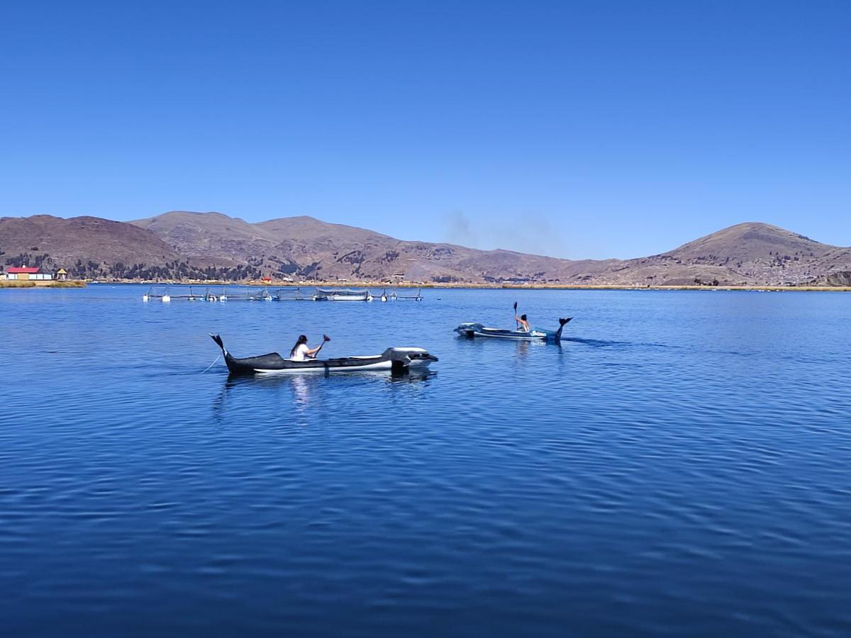 Titicaca Jaltawi Lodge Puno Exteriör bild